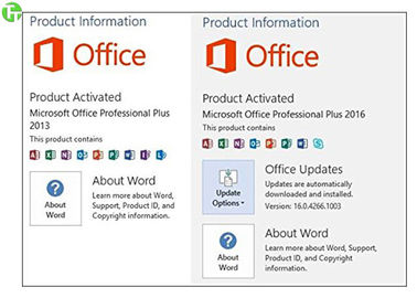 Office 365 Product Key Card COA License Sticker , Windows 10 Professional OEM