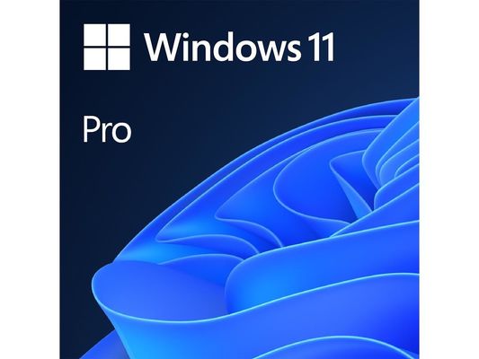 Windows 11 Kurumsal Sürüm, BitLocker ve Sanal Masaüstü