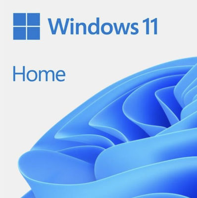 4GB RAM Windows 11 Ev OEM Seçmeli Dil ve Ek 24/7 Online Destek
