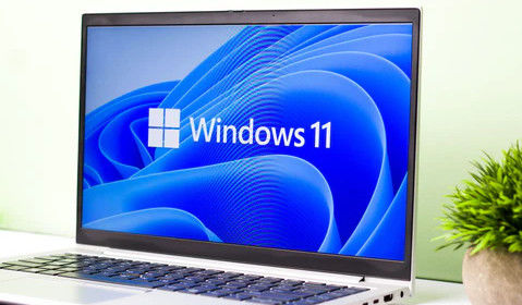 Windows 11 Pro OEM İngilizce 64 bit - Kalıcı Dijital Lisanslı İşletme Özellikleri