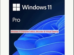 Windows 11 Kurumsal Sürüm, BitLocker ve Sanal Masaüstü