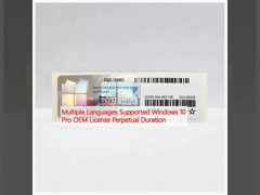 Çoklu Dil Desteklenir Windows 10 Pro OEM Lisansı Sürekli Süre